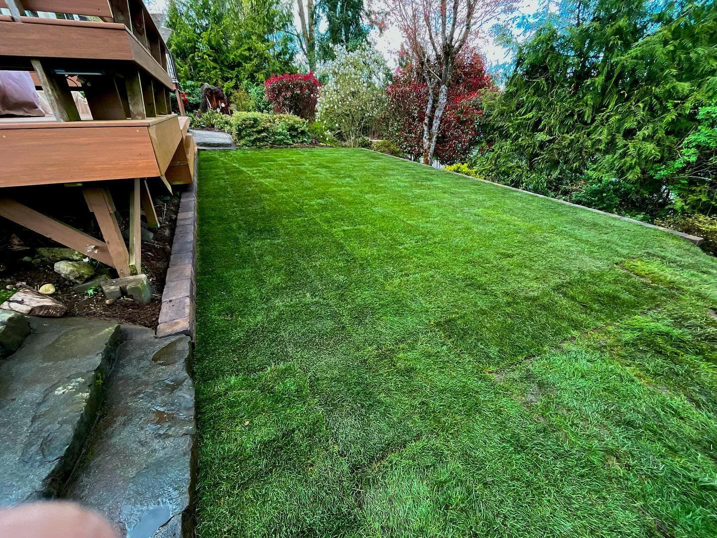 Artificial turf on sloped yard with drainage system